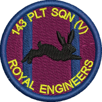 143 Plant Squadron RE Embroidered Badge