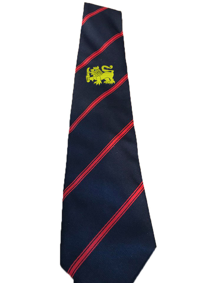 31 AES Sqn Tie