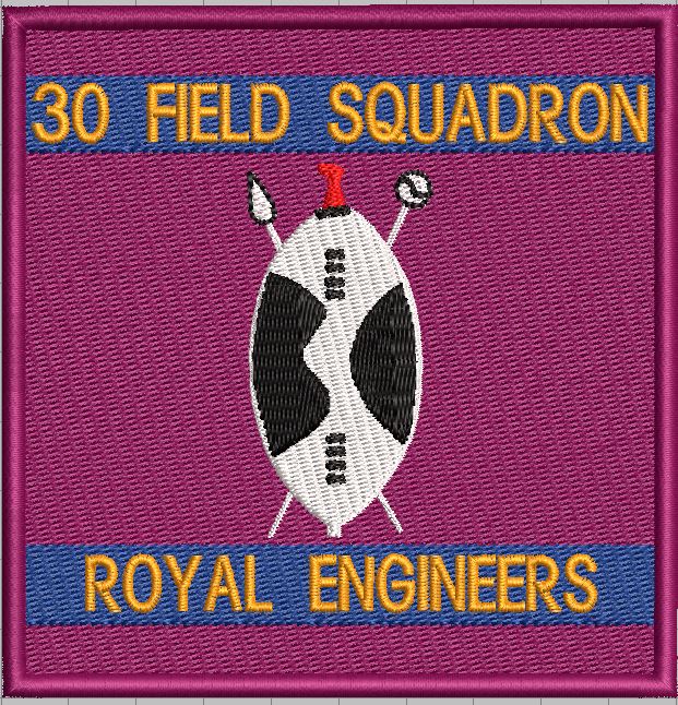 30 FIELD SQUADRON PATCH