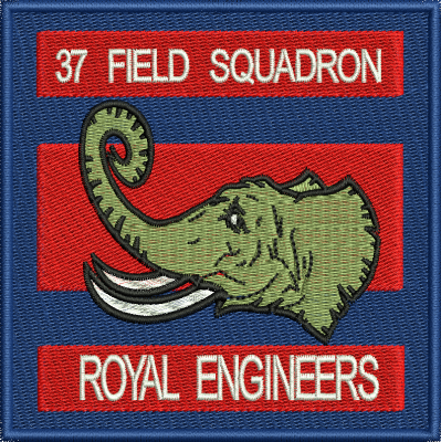 37 Fd Sqn Embroidered Badge