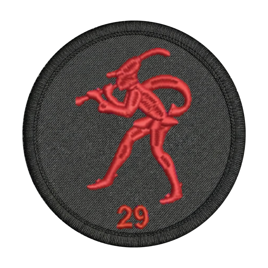29 Field Sqn Patch
