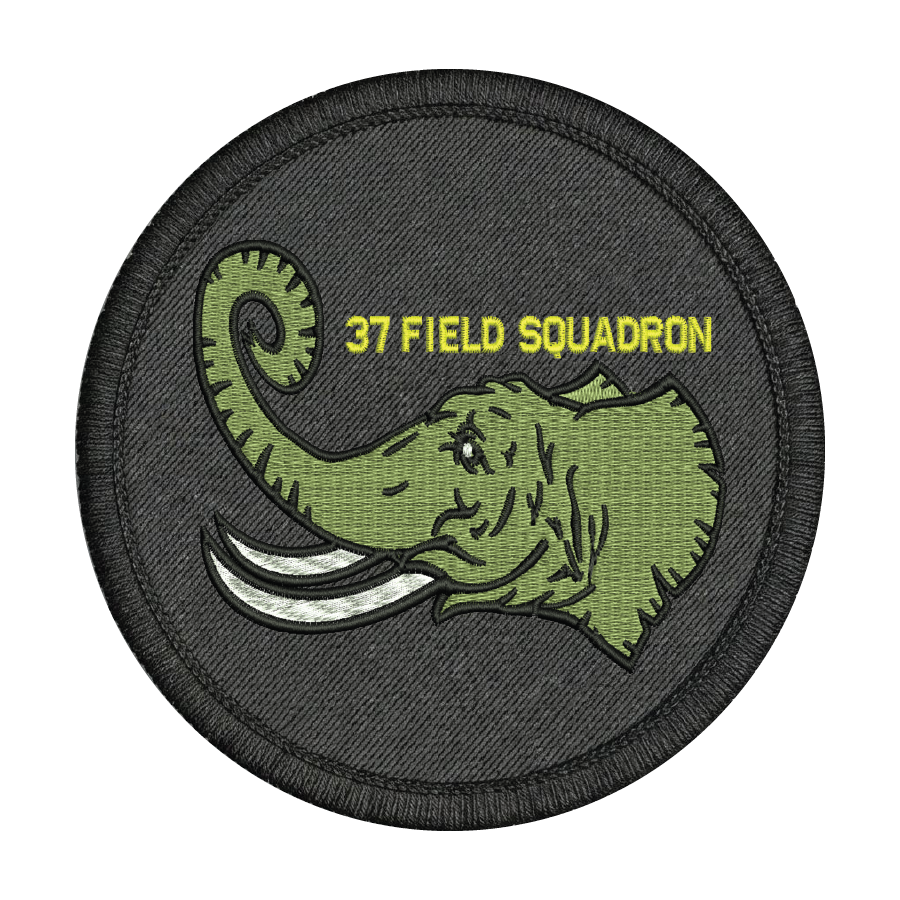 37 Field Sqn Patch