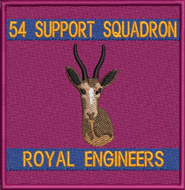 54 SUPPORT SQUADRON PATCH