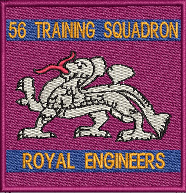 56 TRAINING SQUADRON PATCH