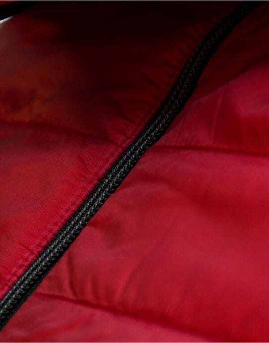 Printer Mens Expedition Vest