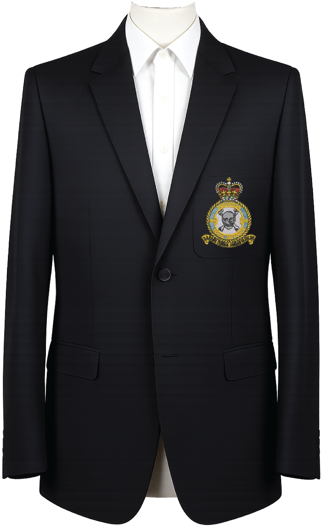 No. 100 Squadron RAF Blazer