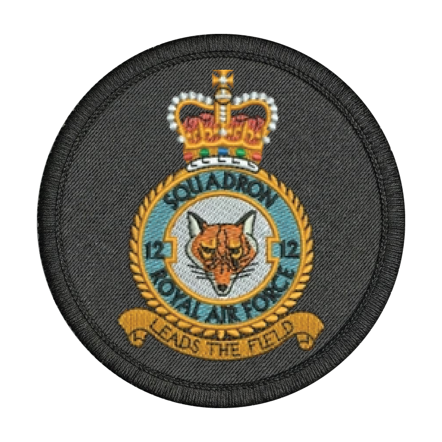 No. 12 Squadron RAF Patch