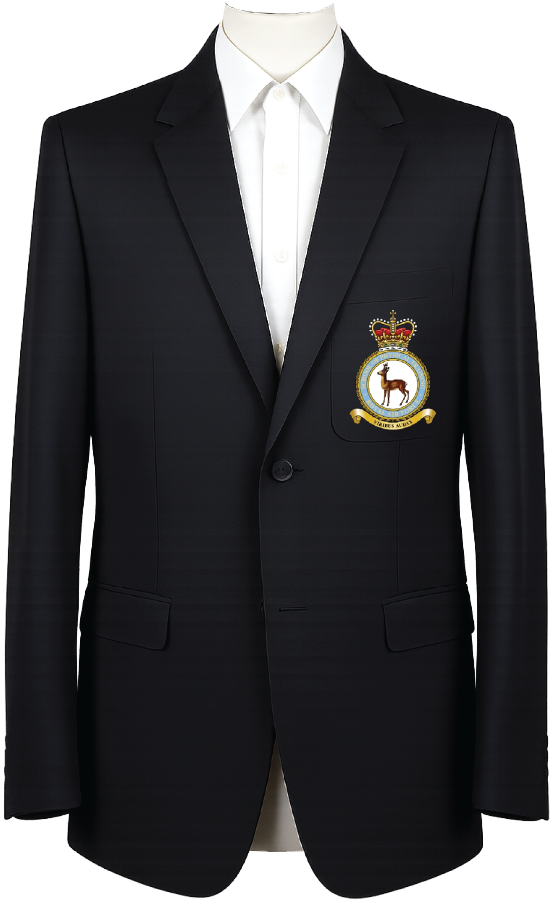 RAF School of Physical Training Blazer