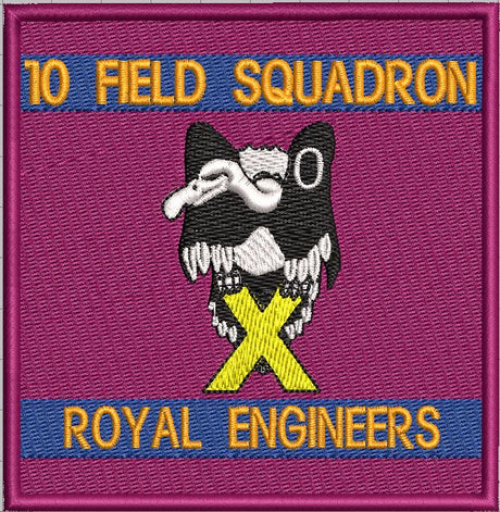 10 Squadron patch