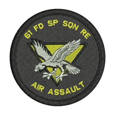 61 Squadron