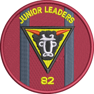 82 Squadron