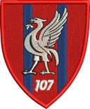 107 Fd Sqn Embroidered Polo Shirt