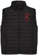 4 Field Sqn Padded Gilet