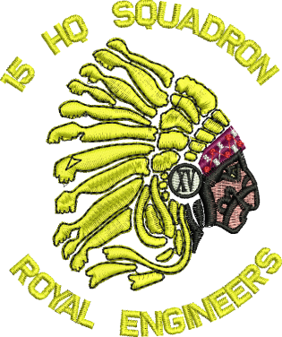 15 HQ SQN EMBROIDERED POLO SHIRT