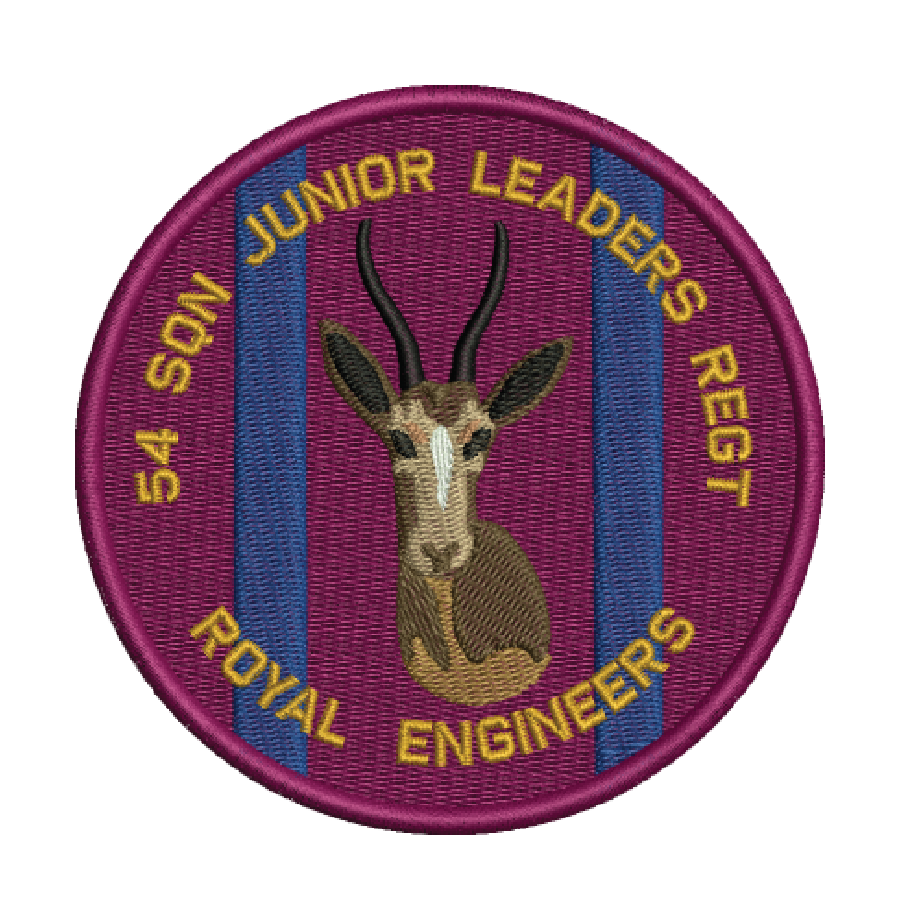 54 Sqn Jnr Leaders Patch