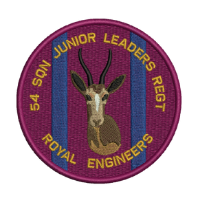 54 Sqn Jnr Leaders Patch