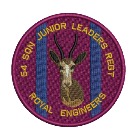 54 Sqn Jnr Leaders Patch