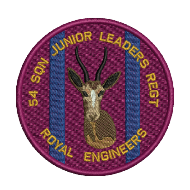 54 Sqn Jnr Leaders Patch