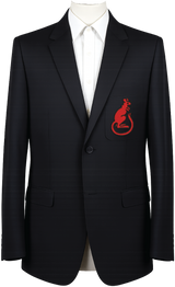 7th Armoured Division Blazer