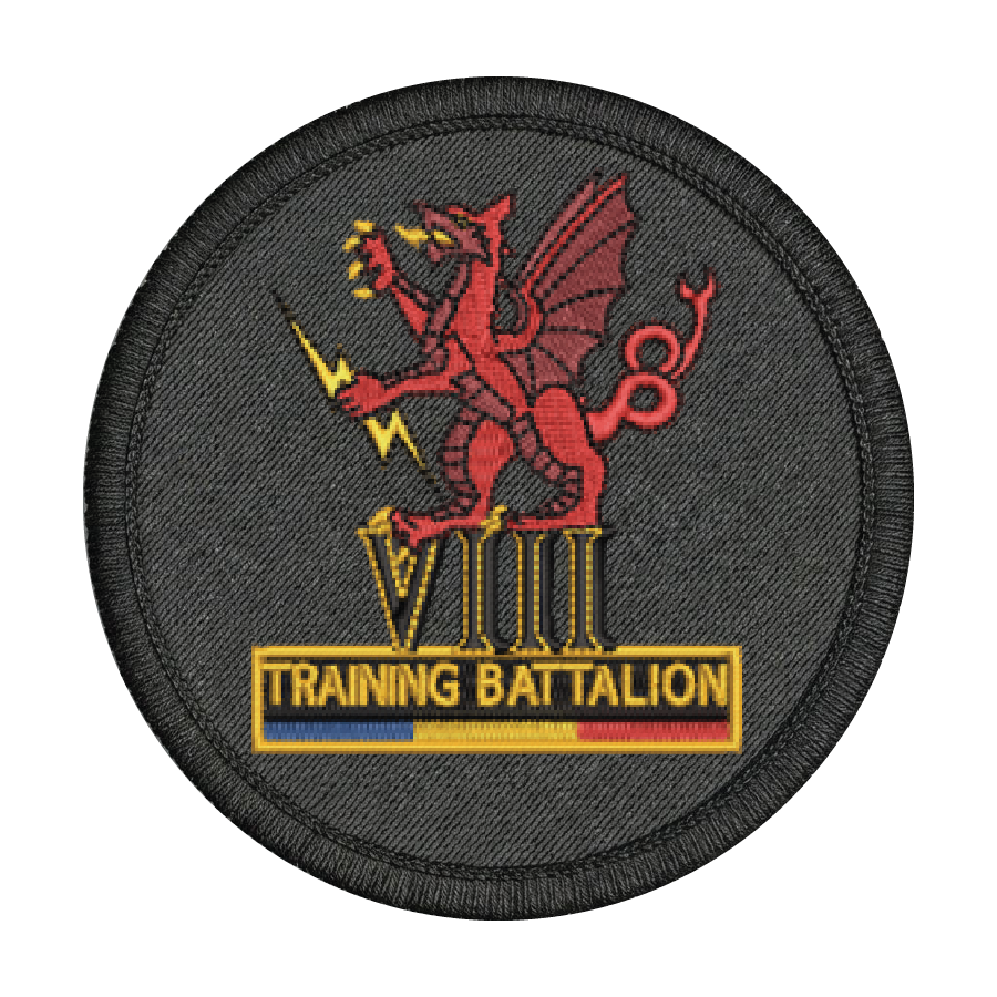 8 Training Battalion REME Patch