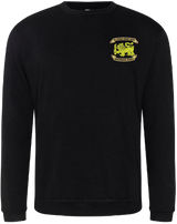 31 Armd Engr Sqn Reunion Sweatshirt
