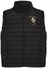 36 Engr Regt Padded Gilet