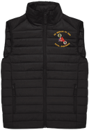 38 Berlin Field Sqn Padded Gilet