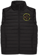 38 Engr Rgt 73 Sqn HQ Troop Padded Gilet