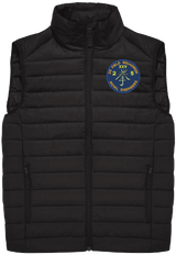 21 Engr Regt Padded Gilet