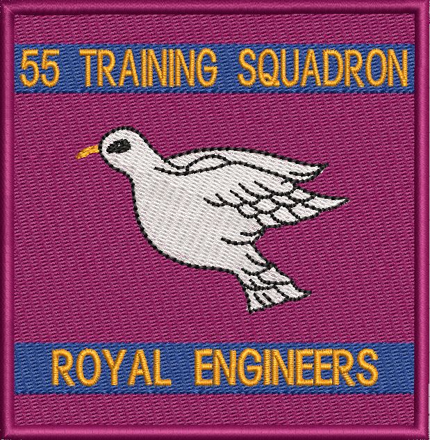 55 TRAINING SQUADRON PATCH