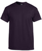 Heavy Cotton™ adult t-shirt