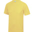 Cool T