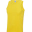 Cool vest