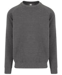 Graduate heavyweight sweatshirt