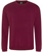 Pro sweatshirt