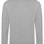 Pro sweatshirt