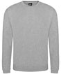Pro sweatshirt