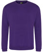 Pro sweatshirt