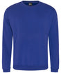 Pro sweatshirt