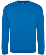 Pro sweatshirt