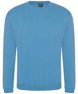 Pro sweatshirt