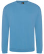 Pro sweatshirt