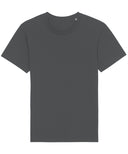 Rocker the essential unisex t-shirt