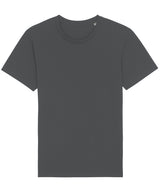 Rocker the essential unisex t-shirt