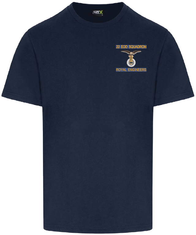 22 EOD Squadron T Shirt