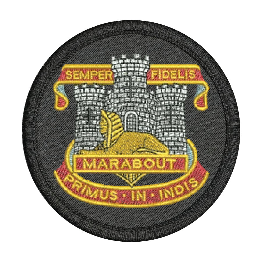 Devon and Dorset Regiment Patch