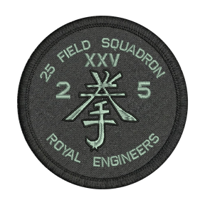 25 Fd Sqn Patch
