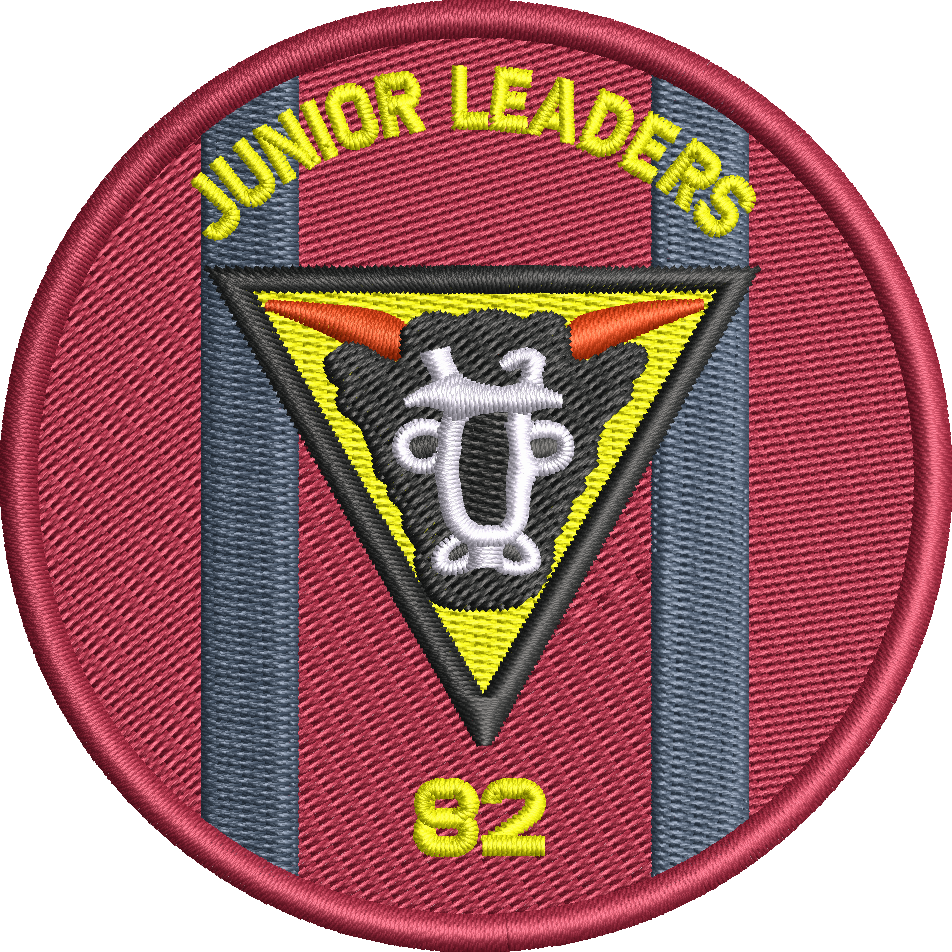 82 FLD SQN PATCH