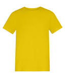 The AWDis 150 Kids T