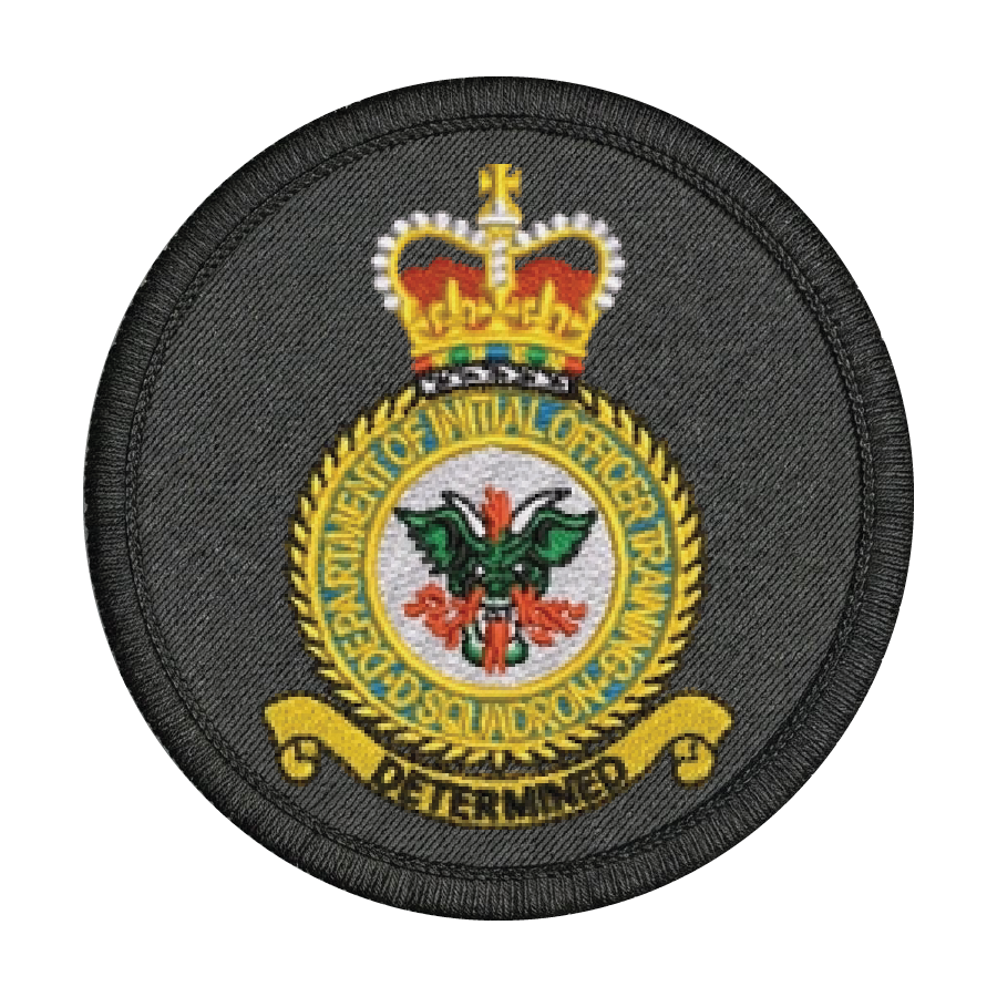 D Squadron Department of Initial Officer Training Patch